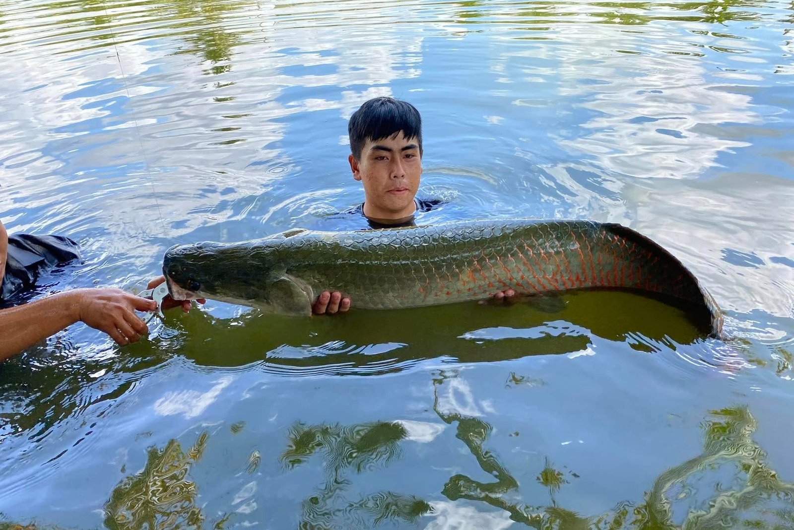 Bull Arena Fishing Park Tphcm Saigon Ba Ria Vung Tau Angler Arapaima 1