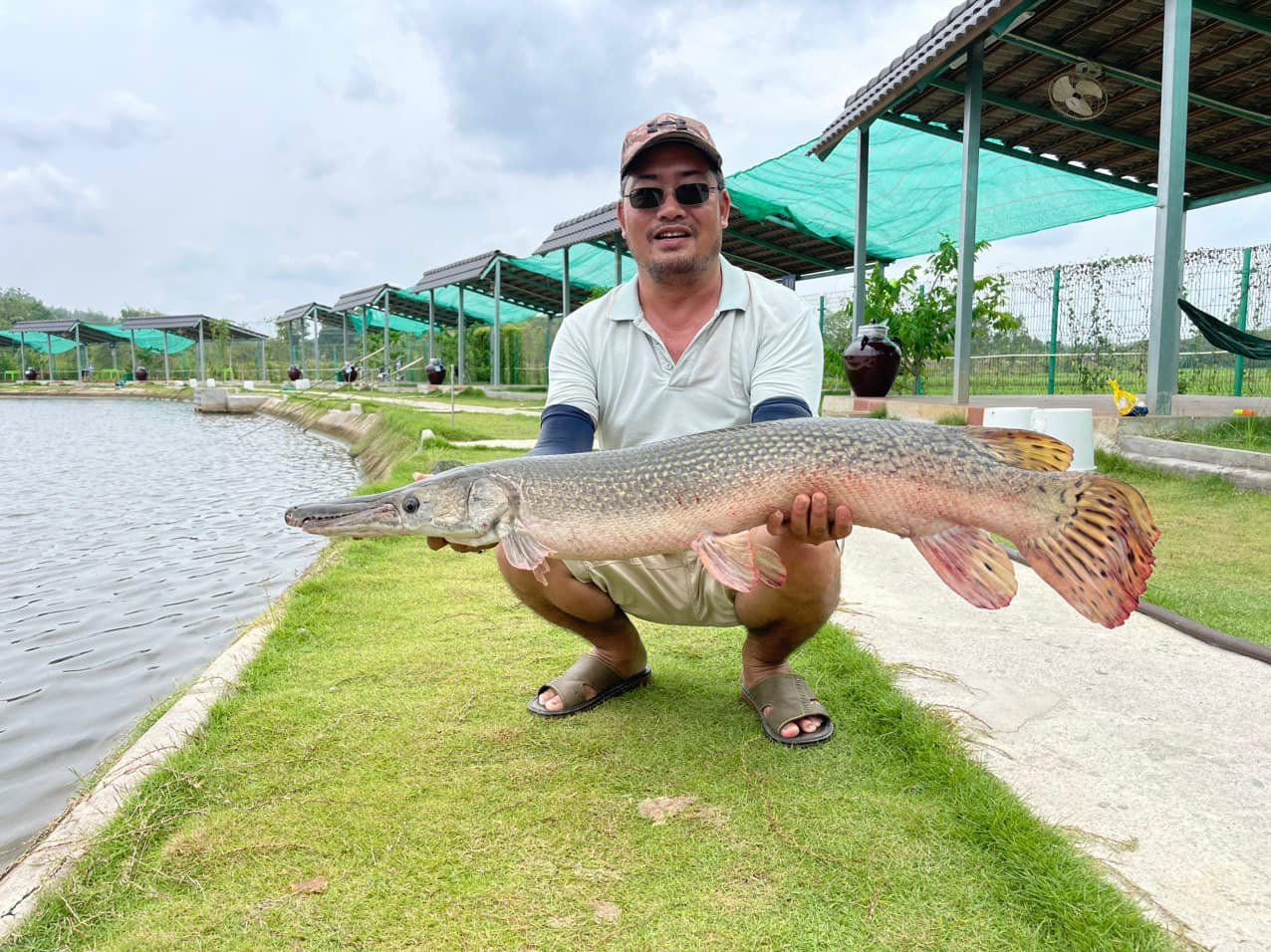 alligator gar bull arena fishing park ho chi minh city vietnam