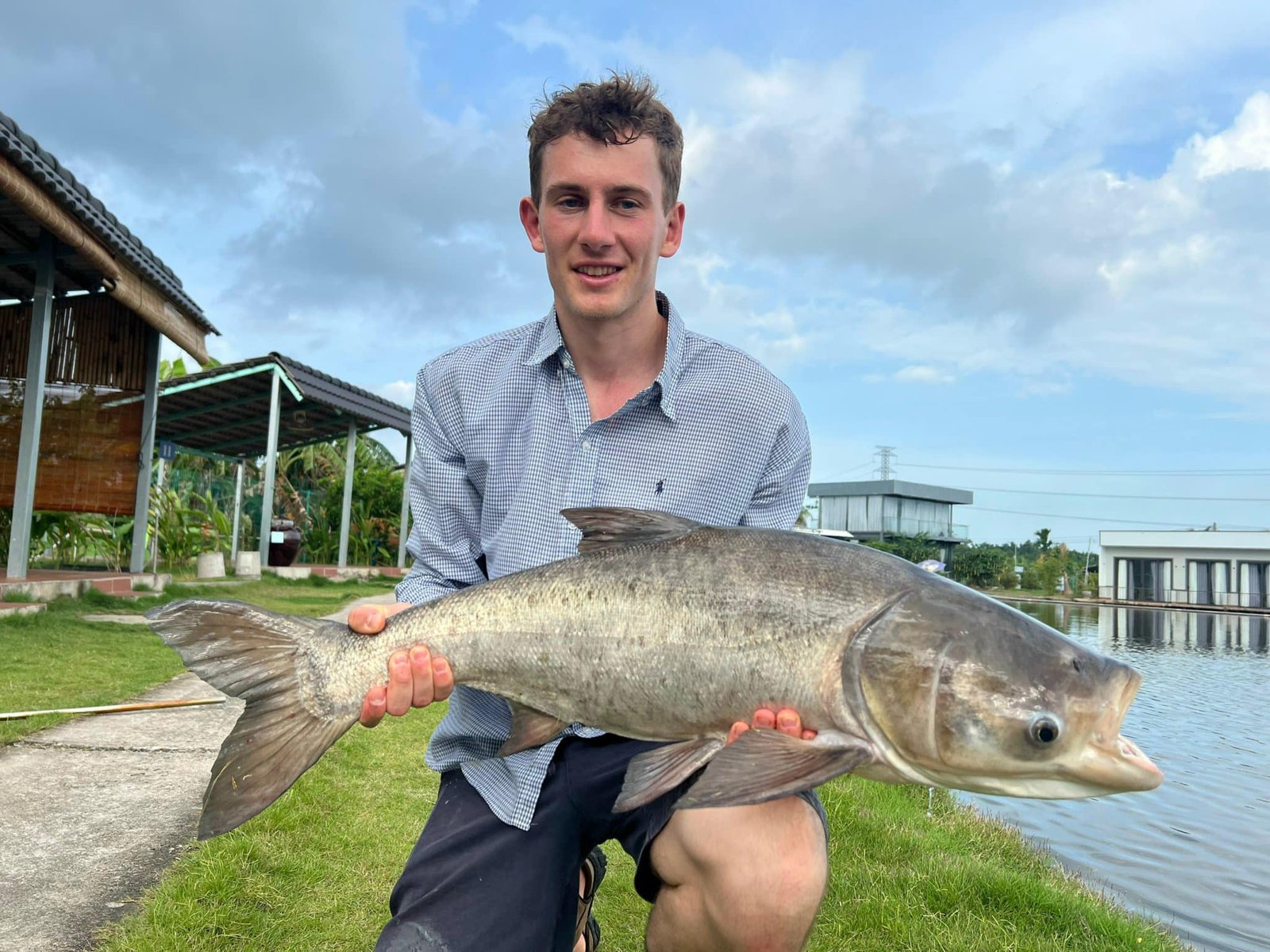 Asian giant carp bull arena fishing park ho chi minh city vietnam